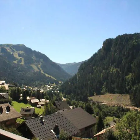 Chatel, 3 Pieces, 6 Personnes - Fr-1-200-198 Apartment